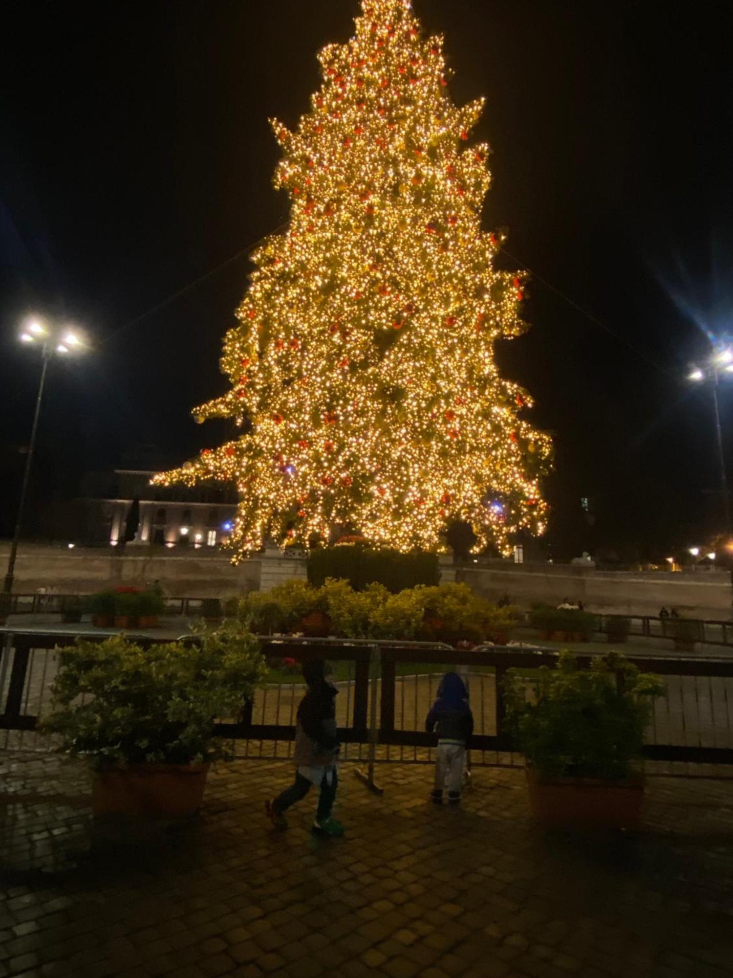 Domum Vaticani Roma